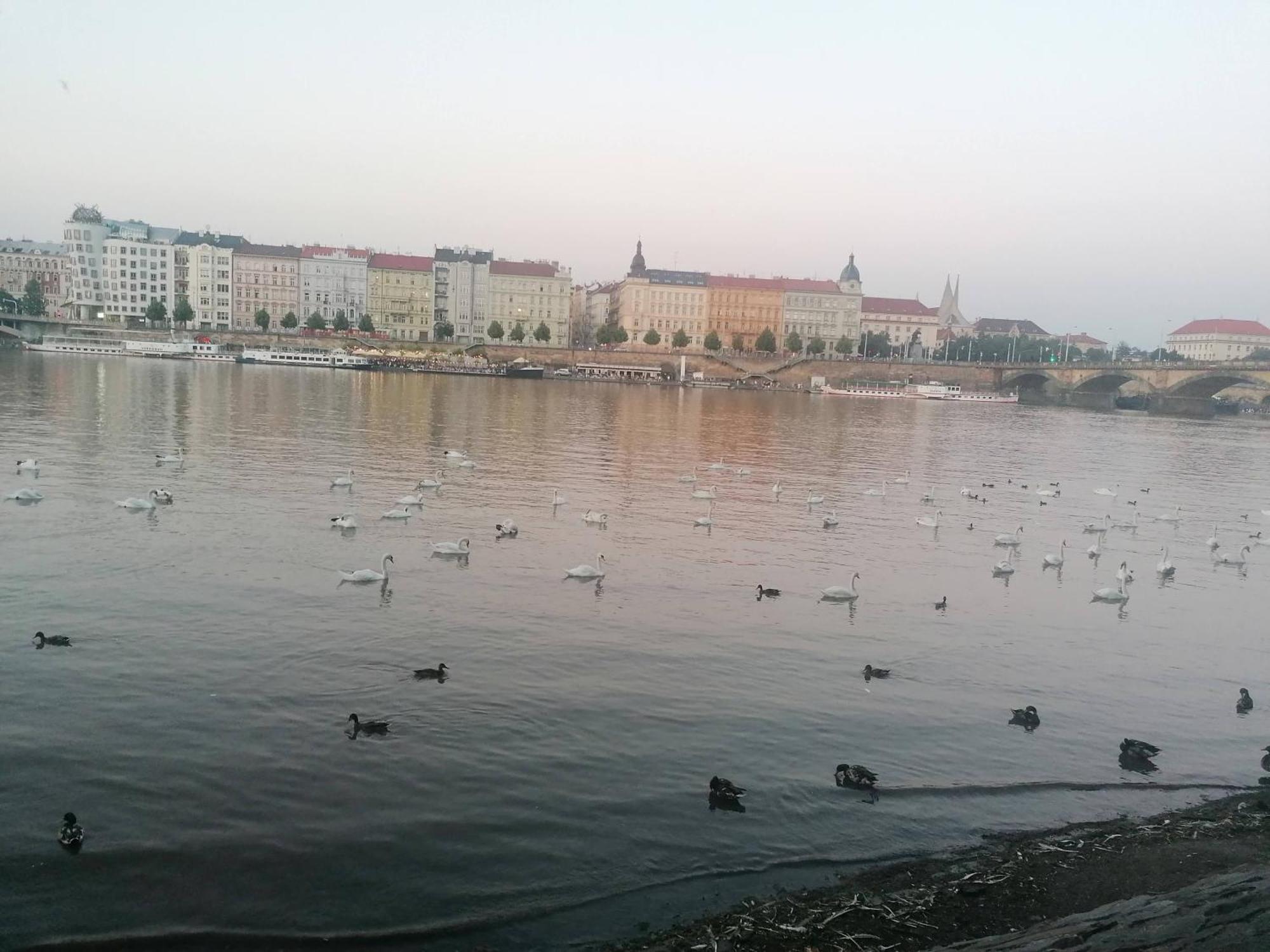 Valentinka Minutes Away From Charles Bridge Apartment Prague Exterior photo